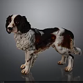 Brown and white dog with fluffy shiny coat standing alert on dark background