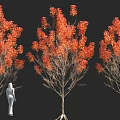 Tall Red Leaf Trees With White Human Figure Against Black Background 3d model
