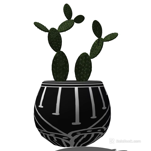 Cactus Bonsai Plant in Black Pot with White Patterns for Indoor Decoration 3d model 