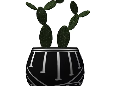 Cactus Bonsai Plant in Black Pot with White Patterns for Indoor Decoration 3d model