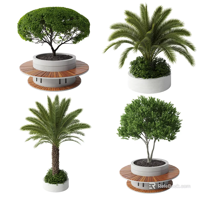 Various Trees Including Palm and Leafy Varieties in Concrete Planters with Wooden Bases 3d model 