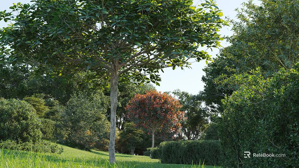 Lush Arbor With Dense Green Foliage In Sunlit Garden Surrounded By Shrubs And Grass 3d model 