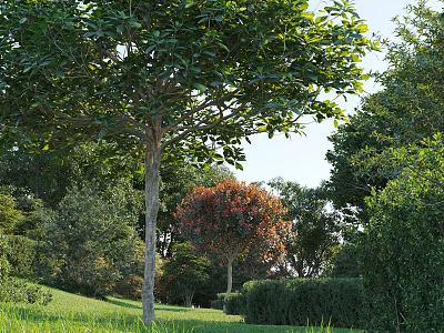 Lush Arbor With Dense Green Foliage In Sunlit Garden Surrounded By Shrubs And Grass 3d model