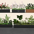 Stylish Plant Combinations In Modern Planters With Flowering And Foliage Plants