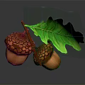 Two Detailed Brown Acorns With Textured Shell And Green Oak Leaf