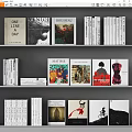 Books and Magazines Displayed on Shelves with Diverse Cover Designs and Art Literary Themes