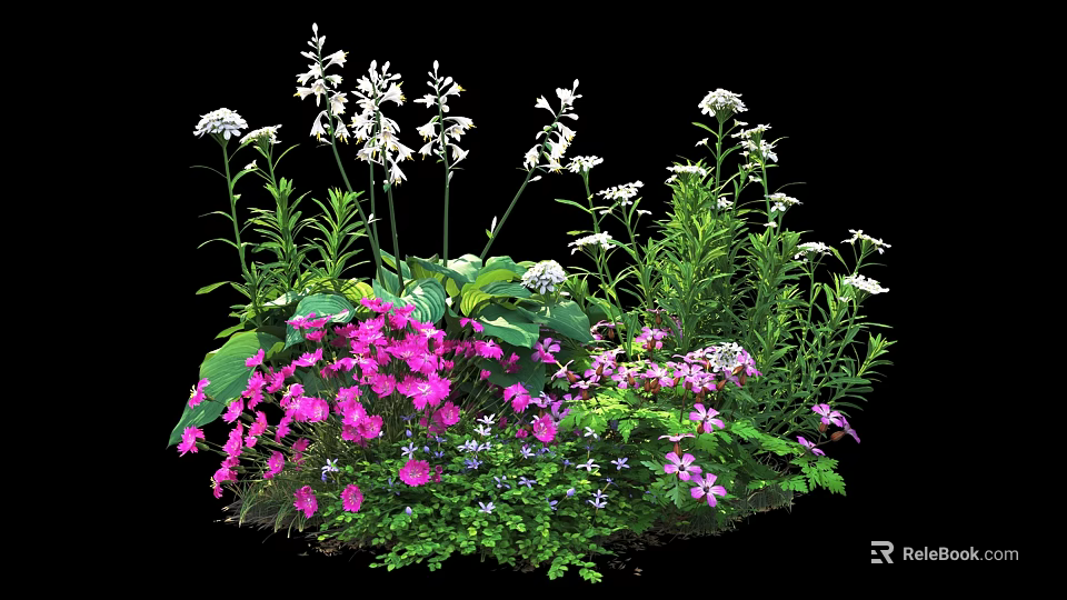 Vibrant Garden Flowers With Pink Blooms White Petals And Lush Green Foliage 3d model 