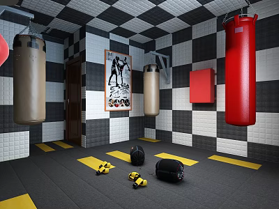 Fitness Training Room With Black And White Checkered Walls Hanging Punching Bags And Exercise Balls 3d model