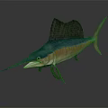 Vibrant Blue And Yellow Sailfish With Large Dorsal Fin And Long Bill In Swimming Pose