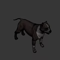 Realistic Brown and White Dog Game Movie Character 3D Model with Alert Expression