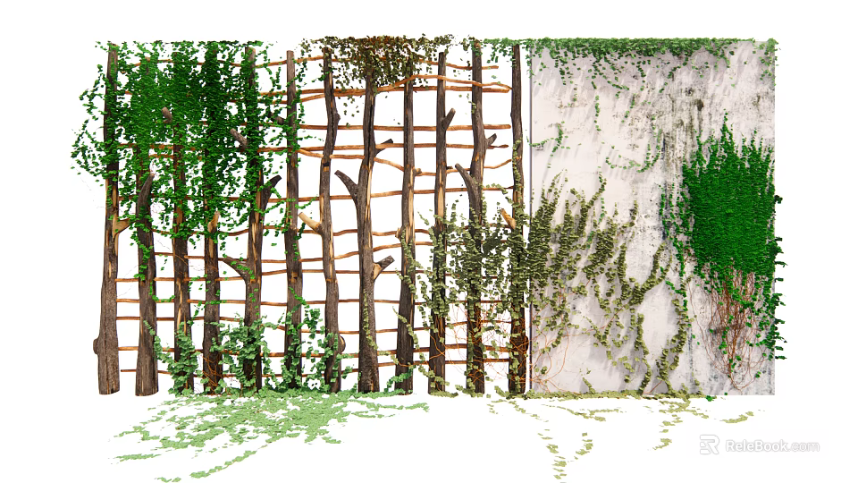 Lush Green Vine Growing On Wooden Trellis And White Wall Decor Ideas 3d model 