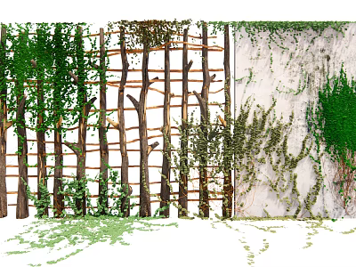 Lush Green Vine Growing On Wooden Trellis And White Wall Decor Ideas 3d model