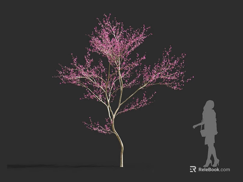 Beautiful Pink Flowering Shrub With Delicate Blossoms And Slender Trunk Near Silhouette Person 3d model 