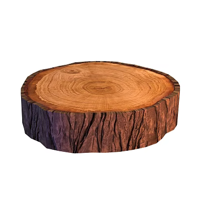 Natural Wood Stump Cross Section With Visible Growth Rings And Texture 3d model