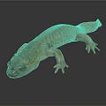 Detailed Brown Salamander With Textured Skin On Smooth Reflective Surface 3d model