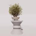 Elegant Bonsai Plant in Light Colored Pot on White Spiral Multi Layered Pedestal