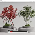 Round Landscape Seats With Red And Green Leaf Trees And Woman Sitting