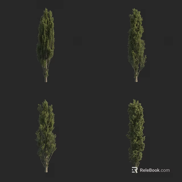 Arbor Trees in Various Growth Forms for Garden Landscape Design 3d model