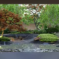 Residential Landscape With Trees Red Green Foliage Small Pond Stones And Grass