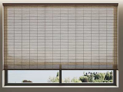 Bamboo Roll Up Blinds Covering Window With Green Plants Natural View Outside 3d model