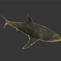 Isolated Detailed 3D Rendered Shark Model On Dark Background With Reflection