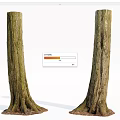 Natural Wood Tree Trunks With Stone Like Root Base And Bark Texture 3d model