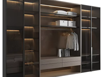 Modern Wardrobe Design With Glass Doors LED Lighting Internal Shelves Storage Boxes And Drawers 3d model