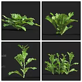 Fresh Green Vegetables Displaying Various Healthy Leafy Shapes And Forms 3d model