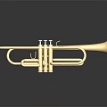Shiny Golden Brass Trumpet Instrument on Black Background with Reflection