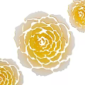 Beautiful Floral Display Featuring Yellow Flowers With Layered Petals And Gradient Colors