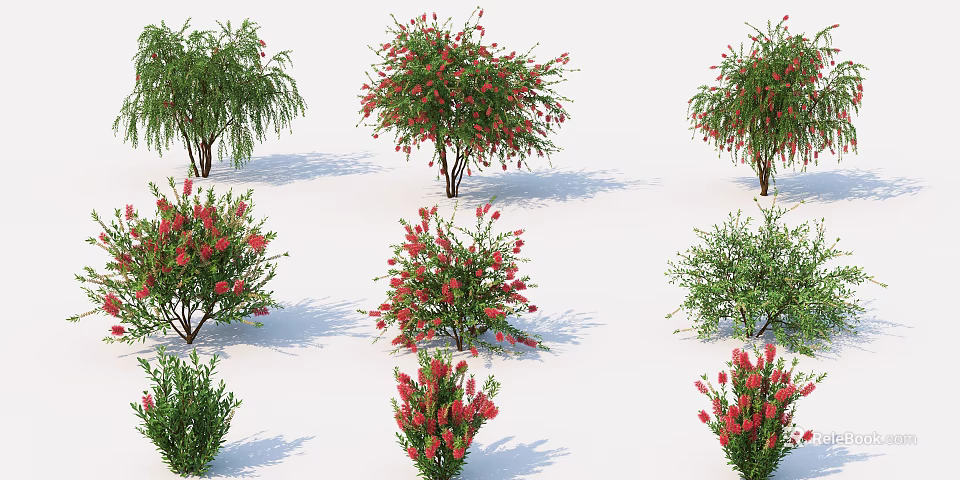 Various Flowering Trees With Red Blooms And Different Shapes In 3d model 