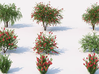 Various Flowering Trees With Red Blooms And Different Shapes In 3d model
