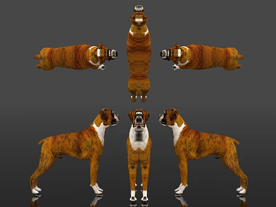 Realistic Reptile 3D Model Showcasing Different Poses With Scaly Texture Details 3d model Realistic Reptile 3D Model Showcasing Different Poses With Scaly Texture Details 3d model