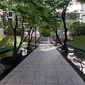 Elegant Pergola Design In Garden With Trees Water Features And Stone Pathway