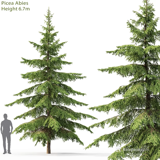 Realistic Pine Tree Decorative Ornament Set With Lifelike Foliage For Home Decor 3d model 