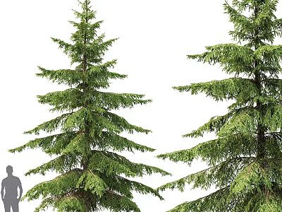 Realistic Pine Tree Decorative Ornament Set With Lifelike Foliage For Home Decor 3d model
