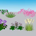 Colorful Garden Flowers And Herbs With Purple Pink And White Blooms