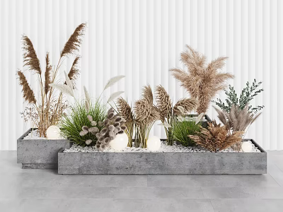 Assorted Decorative Plants in Concrete Planters with Pampas Grass Dried Grasses and Green Foliage 3d model