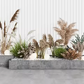 Assorted Decorative Plants in Concrete Planters with Pampas Grass Dried Grasses and Green Foliage