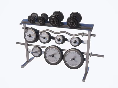 Fitness Equipment Rack With Dumbbells And Weight Plates For Home Gym 3d model