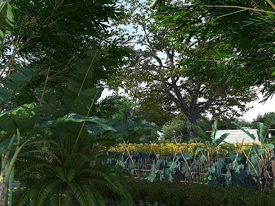 Tall Arbor with Lush Green Leaves Surrounded by Various Plants in Natural Garden Landscape 3d model