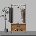 Wooden Clothes Rack with Hanging Rod Mirror Storage Cabinet and Potted Plant