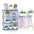 Multi Tiered Wooden Shelving Unit With Various Potted Plants And Small Stands