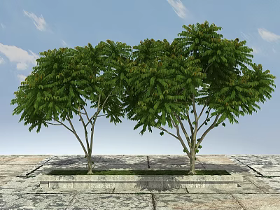 Trees With Lush Green Leaves Growing On Slate Ground Under Blue Sky 3d model