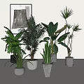 Indoor Potted Plants with Various Green Foliage in Black White Gray Ceramic Pots