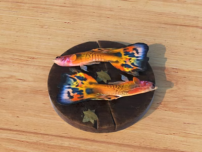 Fish 3D Model 3d model