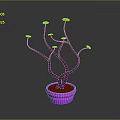 Purple Stemmed Potted Plant with Pink Flowers and Pink Pot on Dark Background