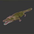 Realistic Green Crocodile Model Featuring Open Mouth Detailed Skin Texture And Body Structure