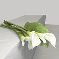 White Calla Lilies With Green Stems And Large Leaves On Gray Marble Surface