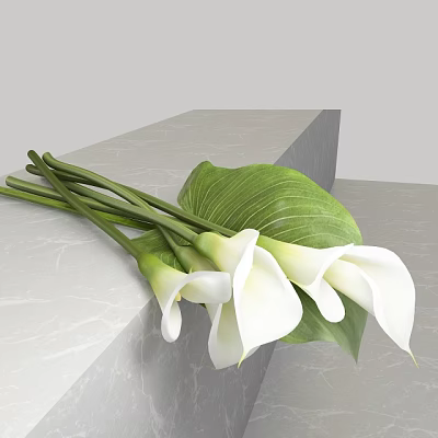 White Calla Lilies With Green Stems And Large Leaves On Gray Marble Surface 3d model